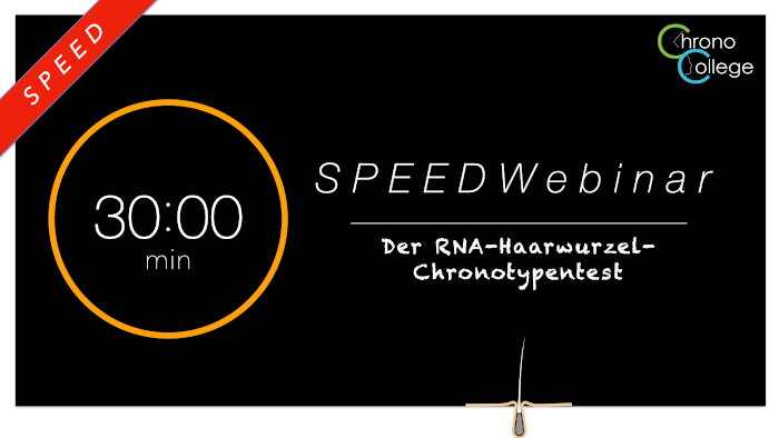 BodyClock Chronotyp Test Speed Webinar